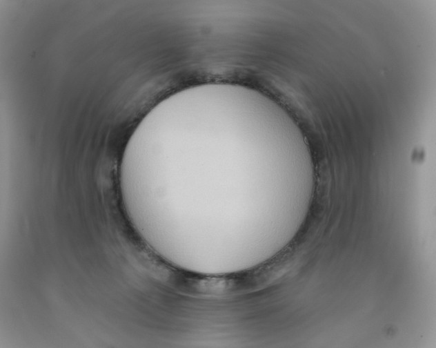 X0000091510225200709141401