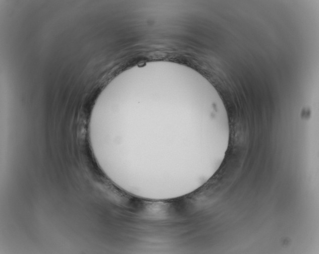 X0000091510226200709141401