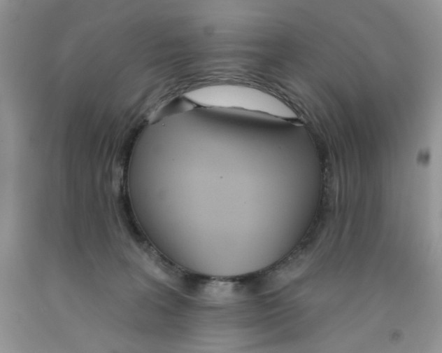 X0000091510227200709141401