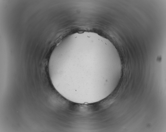 X0000091510229200709141401