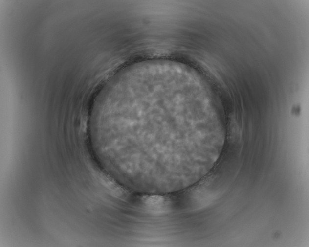 X0000091510230200709141401