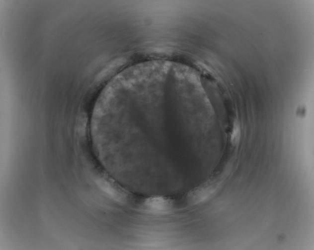 X0000091510231200709141401