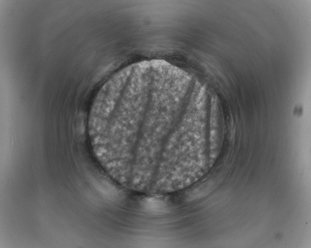 X0000091510232200709141401