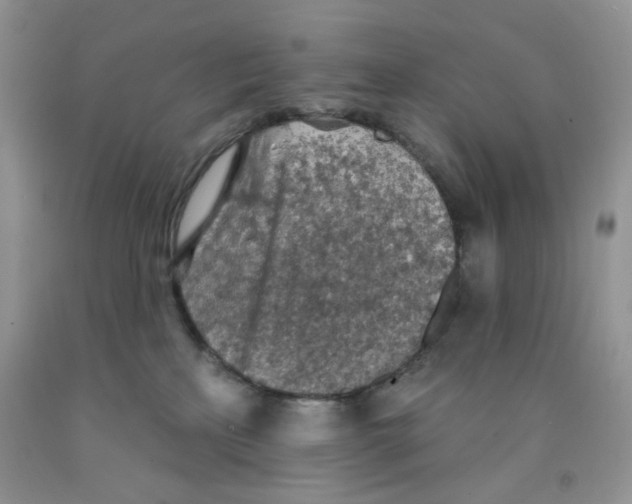 X0000091510233200709141401