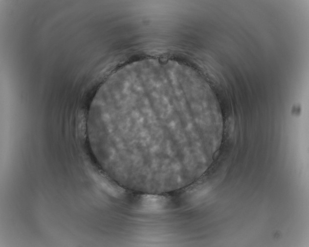 X0000091510234200709141401