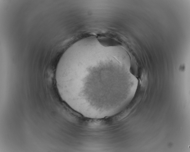 X0000091510235200709141401