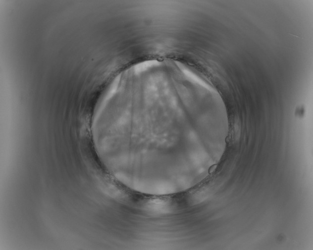 X0000091510236200709141401