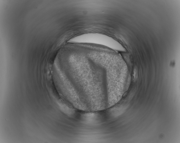 X0000091510237200709141401