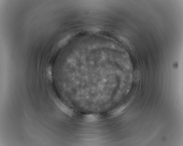 X0000091510238200709141401