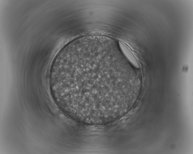 X0000091510241200709141400