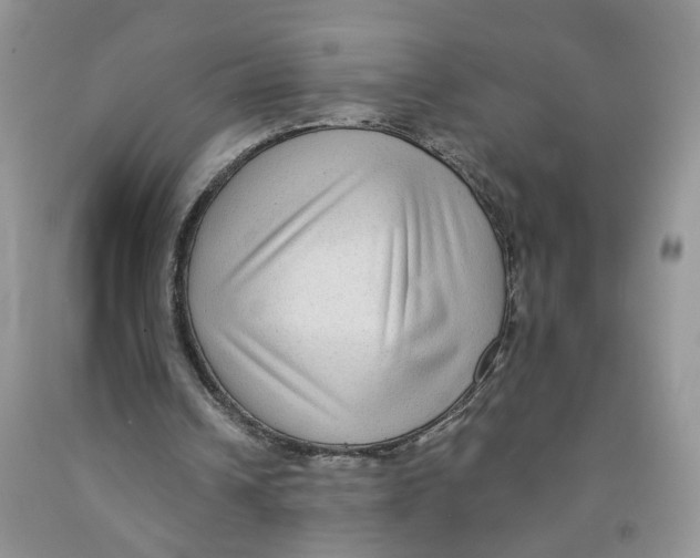 X0000091510242200709141400