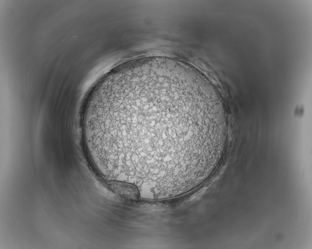 X0000091510245200709141400