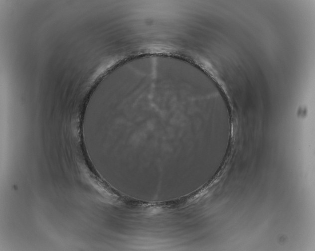 X0000091510249200709141400