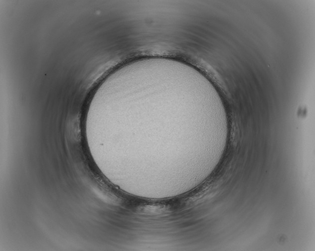 X0000091510251200709141400