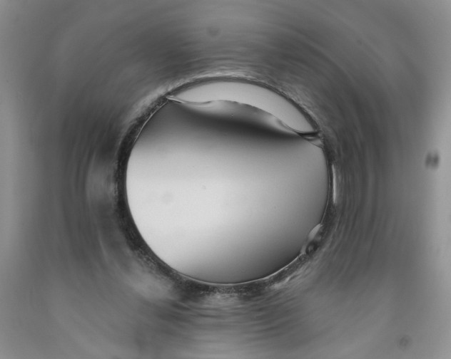 X0000091510252200709141400