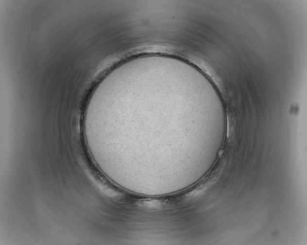 X0000091510253200709141400