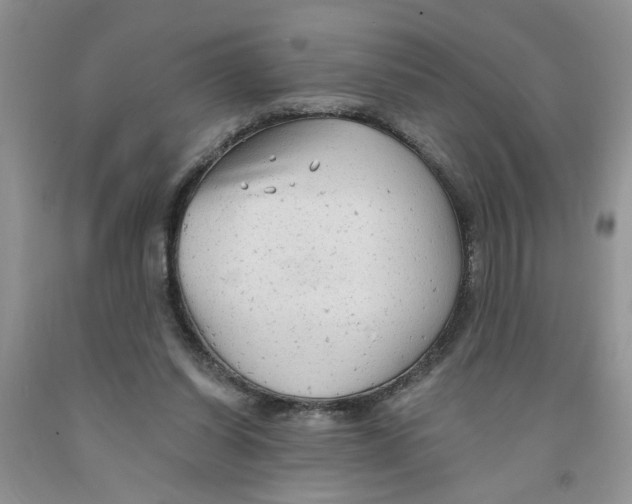 X0000091510254200709141400