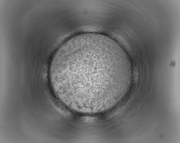 X0000091510255200709141400