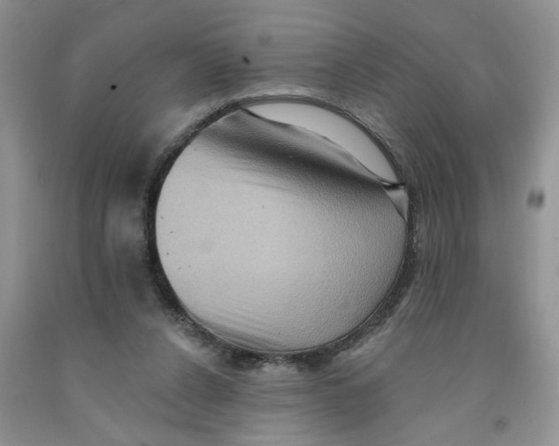 X0000091510256200709141400