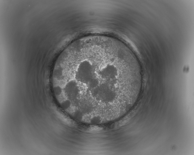 X0000091510257200709141400