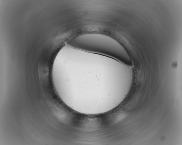 X0000091510260200709141400