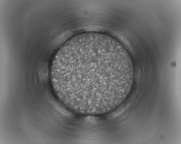 X0000091510261200709141400