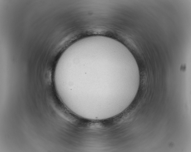 X0000091510262200709141400