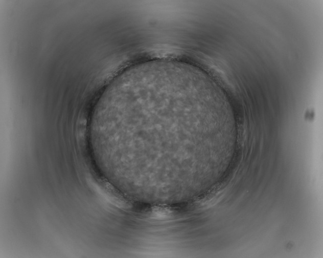 X0000091510263200709141400