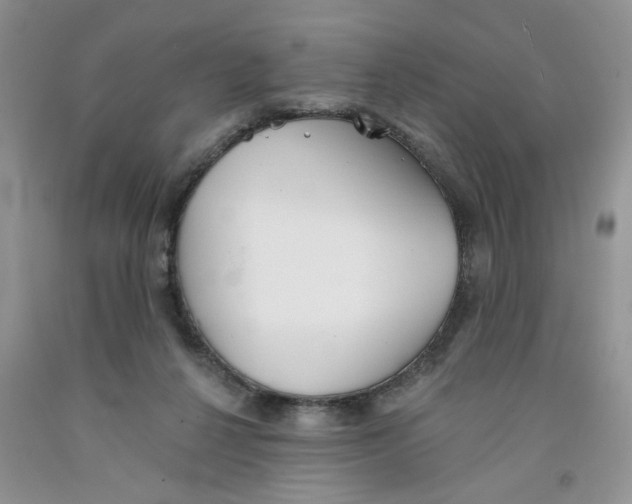 X0000091510264200709141401