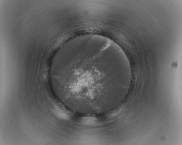 X0000091510266200709141401