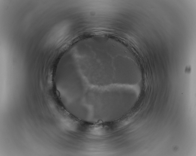 X0000091510267200709141401