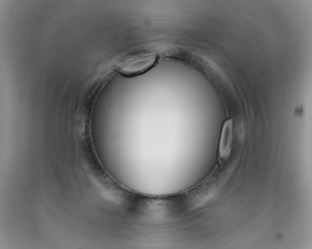 X0000091510268200709141401