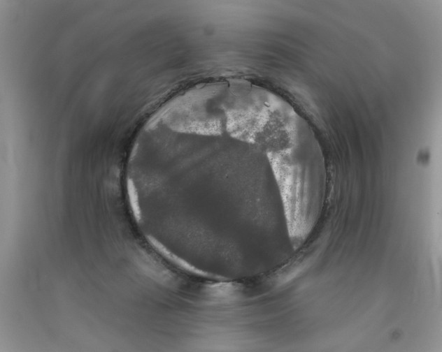 X0000091510269200709141401