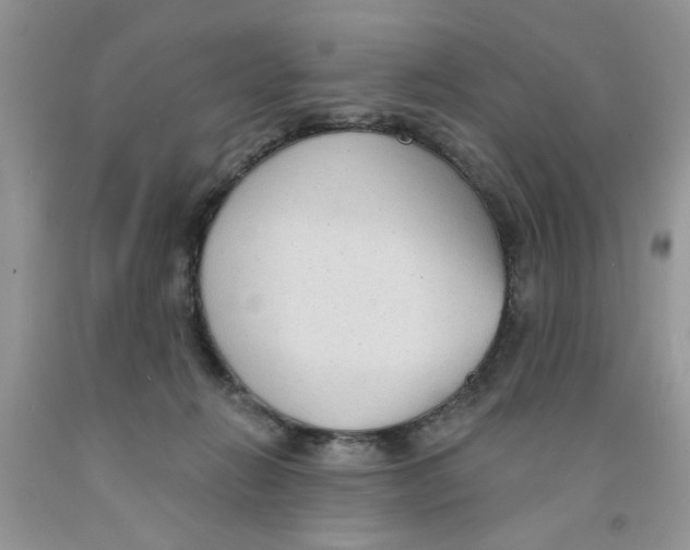 X0000091510270200709141401