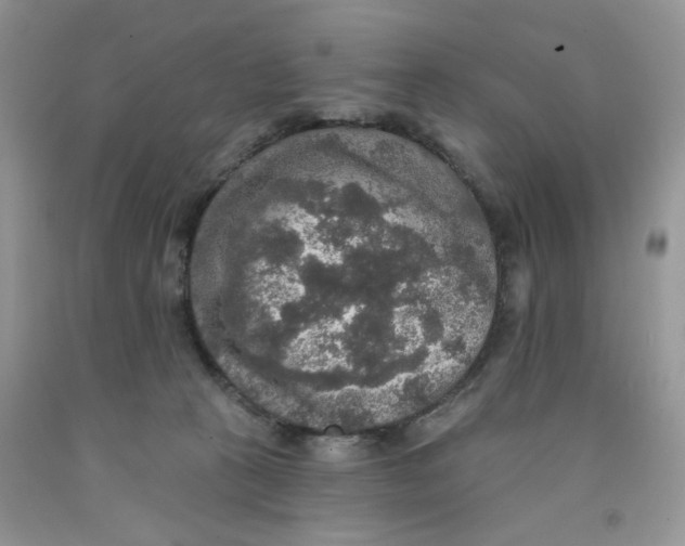 X0000091510273200709141401