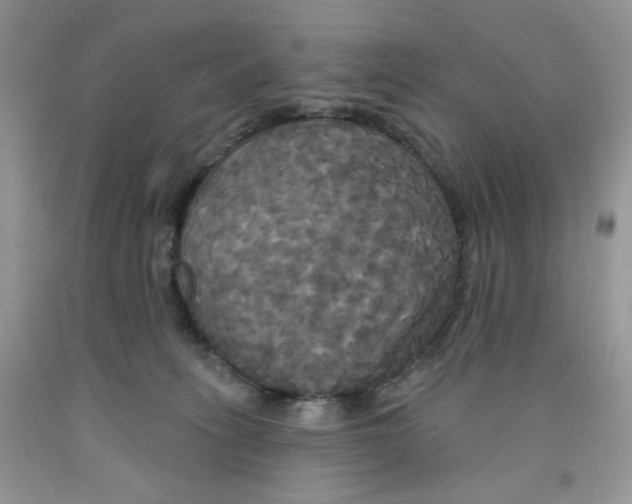 X0000091510275200709141401