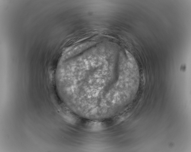 X0000091510276200709141401