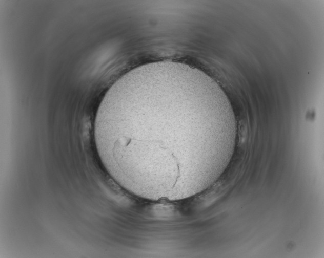 X0000091510279200709141401