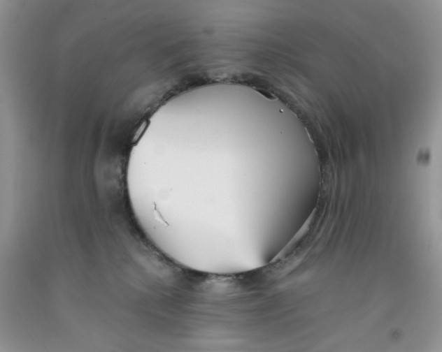 X0000091510280200709141401