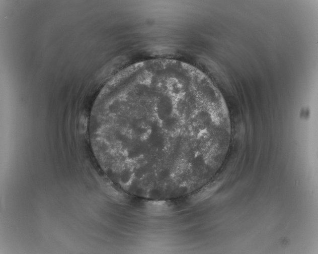 X0000091510281200709141401