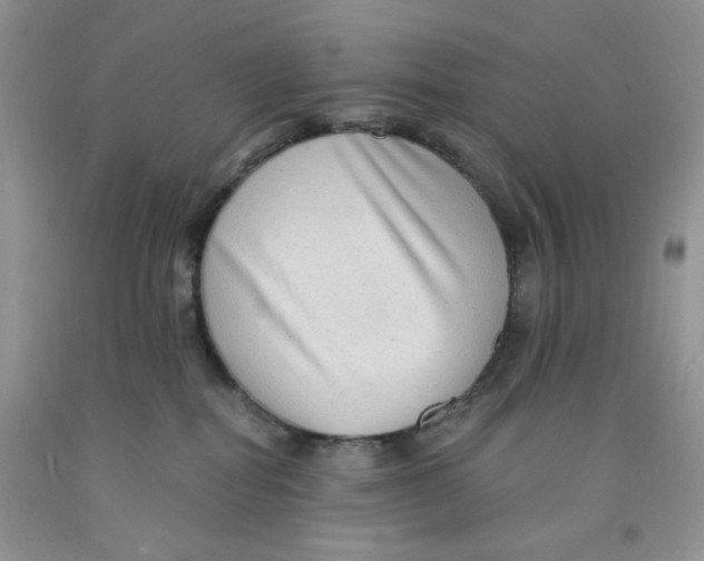 X0000091510282200709141401