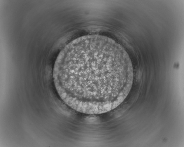 X0000091510283200709141401