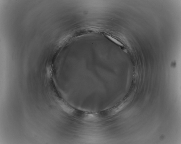 X0000091510285200709141401