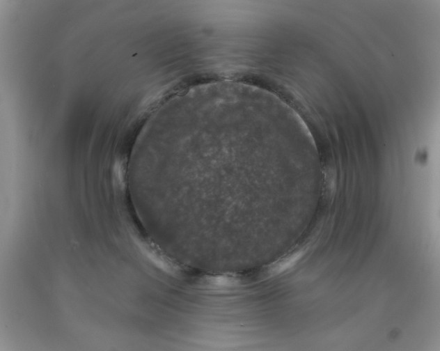 X0000091510286200709141401