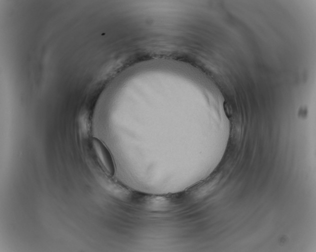 X0000091510287200709141401