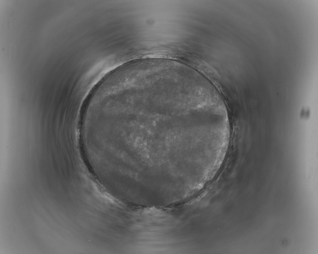 X0000091510290200709141400