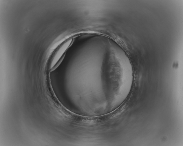 X0000091510295200709141400