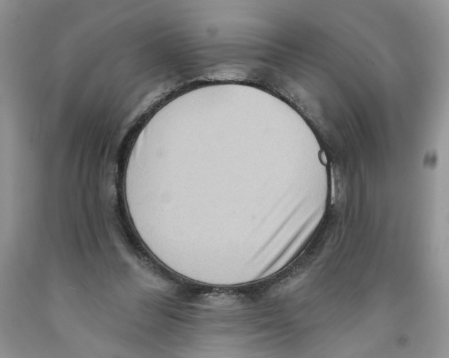 X0000091510300200709141400