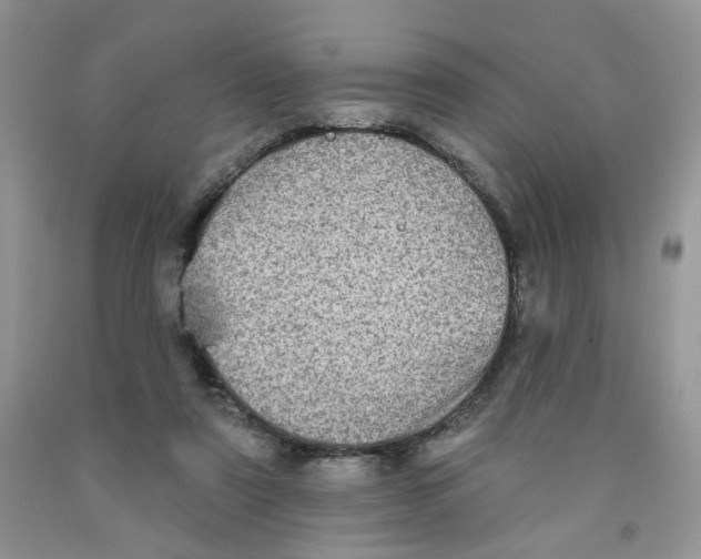 X0000091510307200709141400