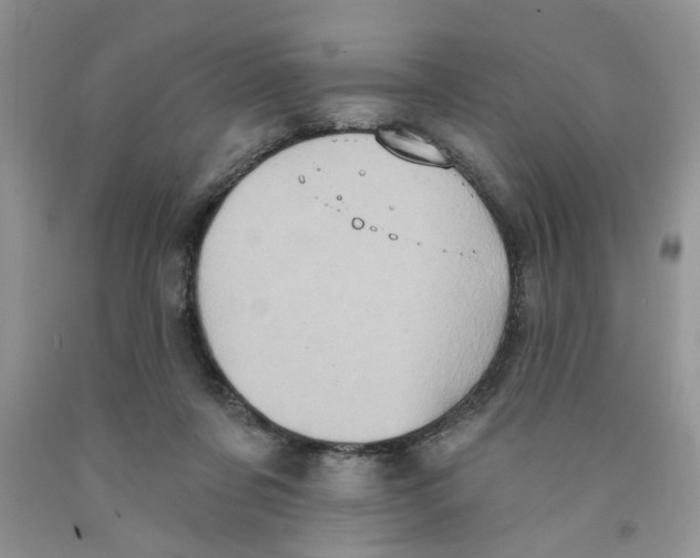 X0000091510311200709141400